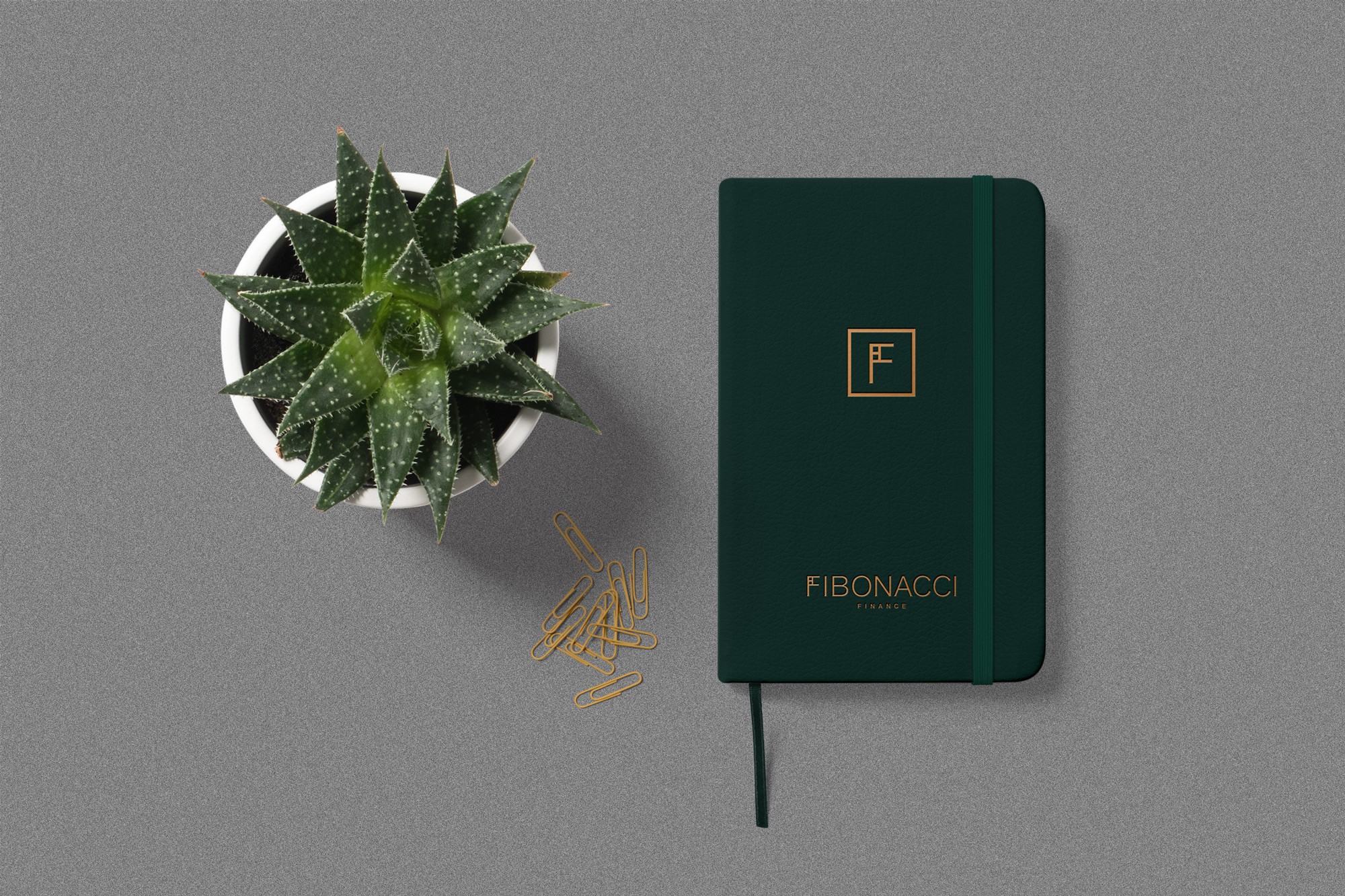 fibonacci_notebook-1645565919