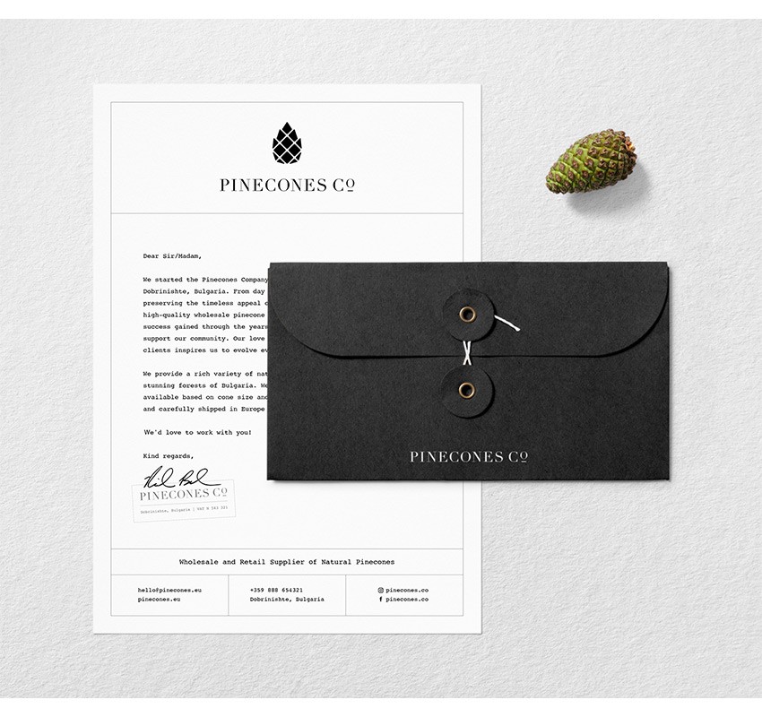 pinecones_letterhead_1642024140