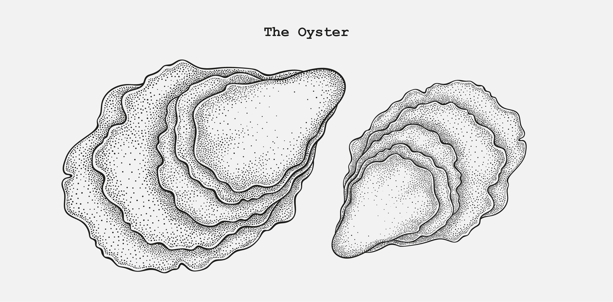 stridarium-the-oyster-1646686734